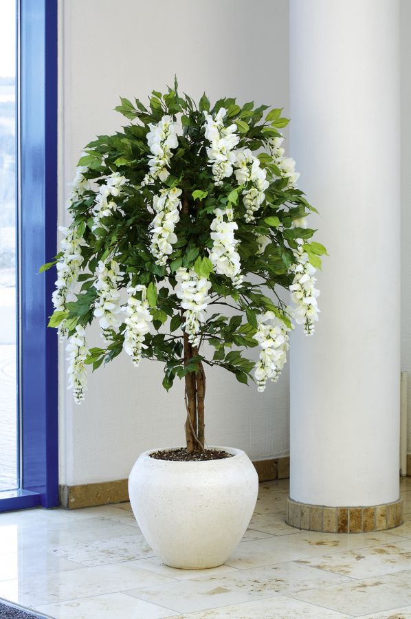 jasmin orchidea spa salon sankt petersburg jasmin orchidea spa salon sankt petersburg